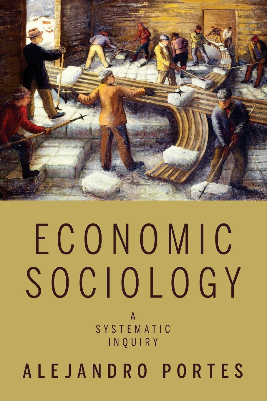 Cover: 9780691142234 | Economic Sociology | A Systematic Inquiry | Alejandro Portes | Buch