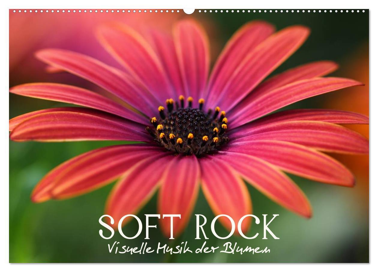 Cover: 9783383446184 | Soft Rock - Visuelle Musik der Blumen (Wandkalender 2024 DIN A2...