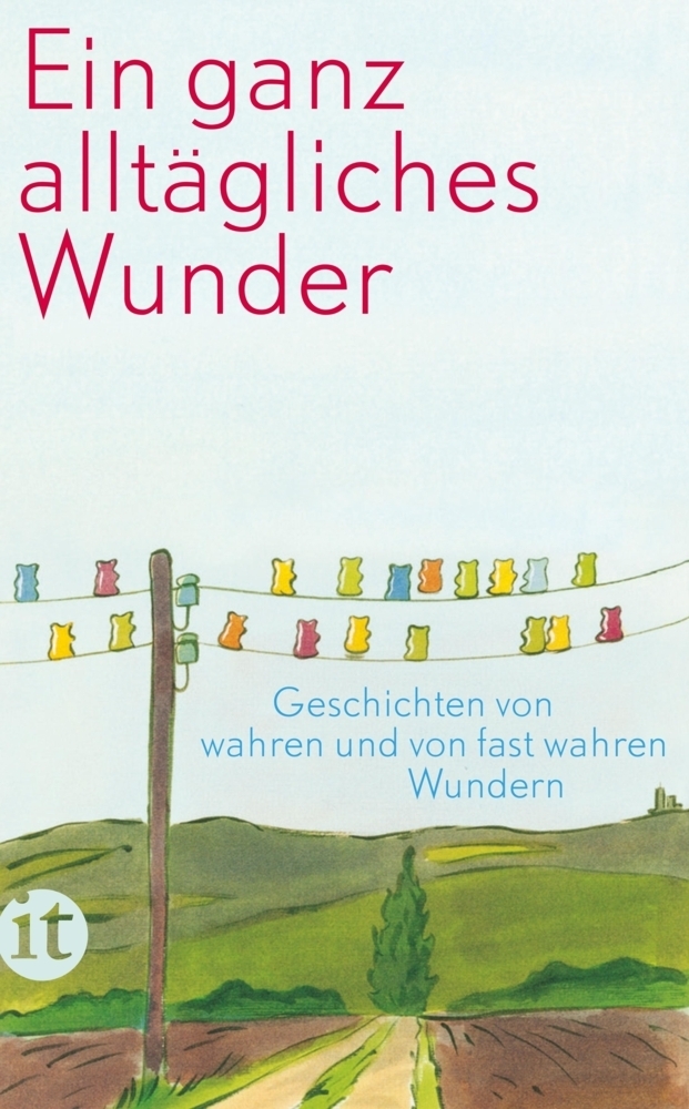 Cover: 9783458360414 | Ein ganz alltägliches Wunder | Taschenbuch | 294 S. | Deutsch | 2014