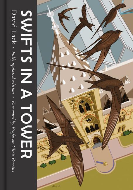 Cover: 9781911604365 | Swifts in a Tower | David Lack | Buch | Englisch | 2018