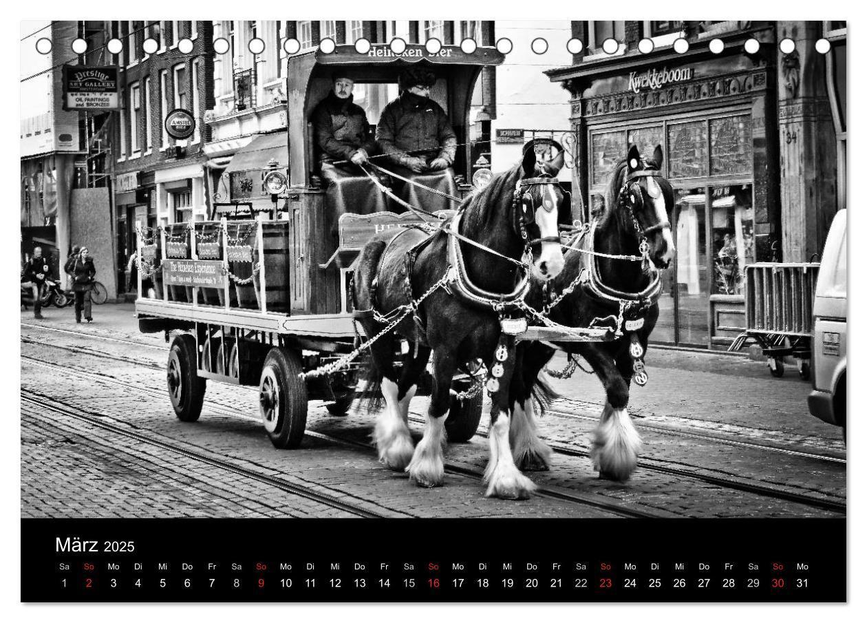 Bild: 9783435780075 | Amsterdam 2025 (Tischkalender 2025 DIN A5 quer), CALVENDO...