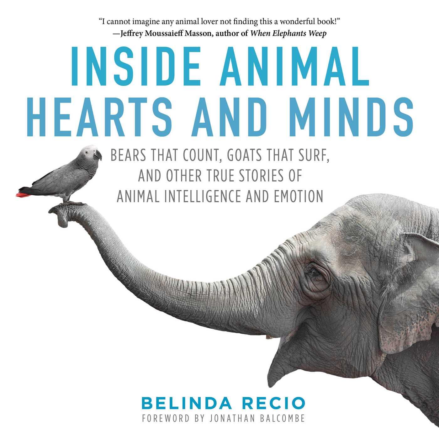 Cover: 9781510718944 | Inside Animal Hearts and Minds | Belinda Recio | Buch | Englisch