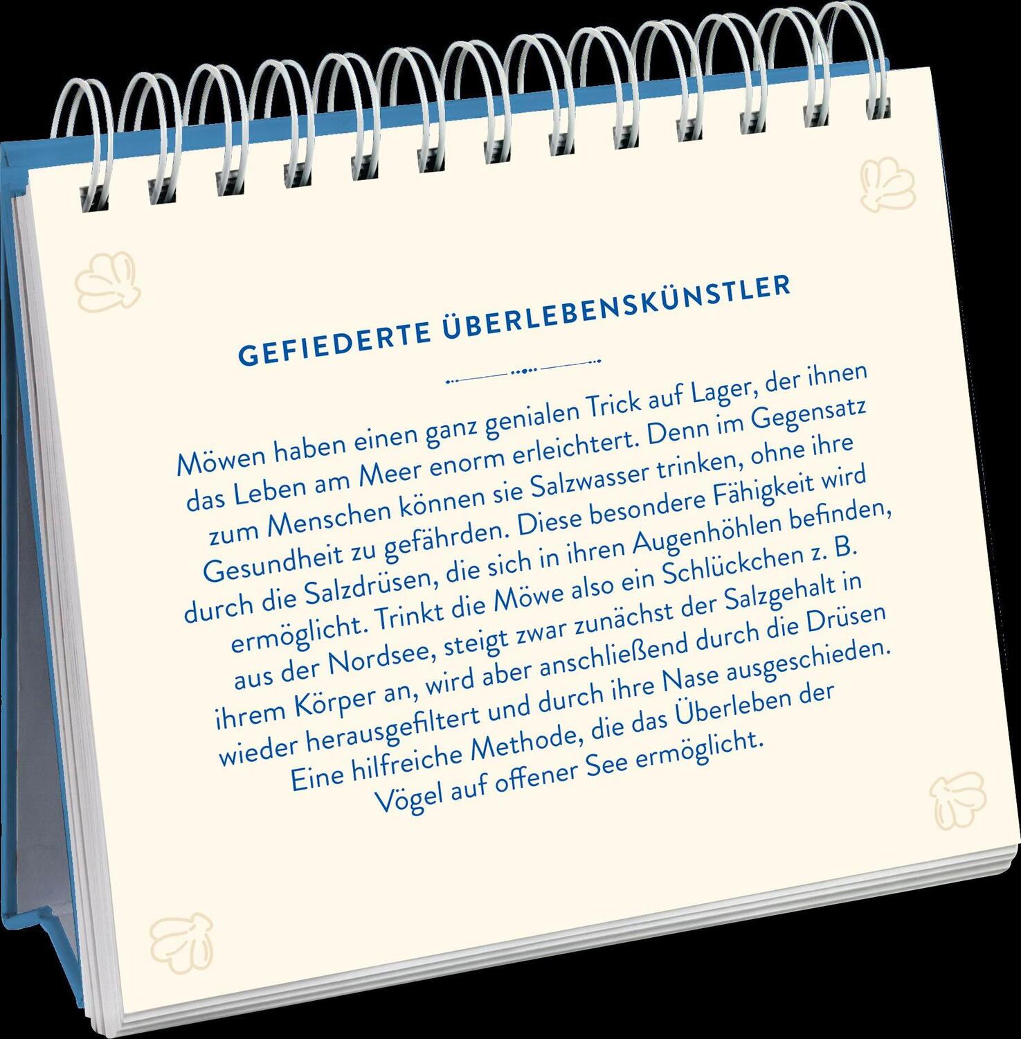 Bild: 9783848501847 | Sehnsuchtsort Meer | Groh Verlag | Taschenbuch | 144 S. | Deutsch