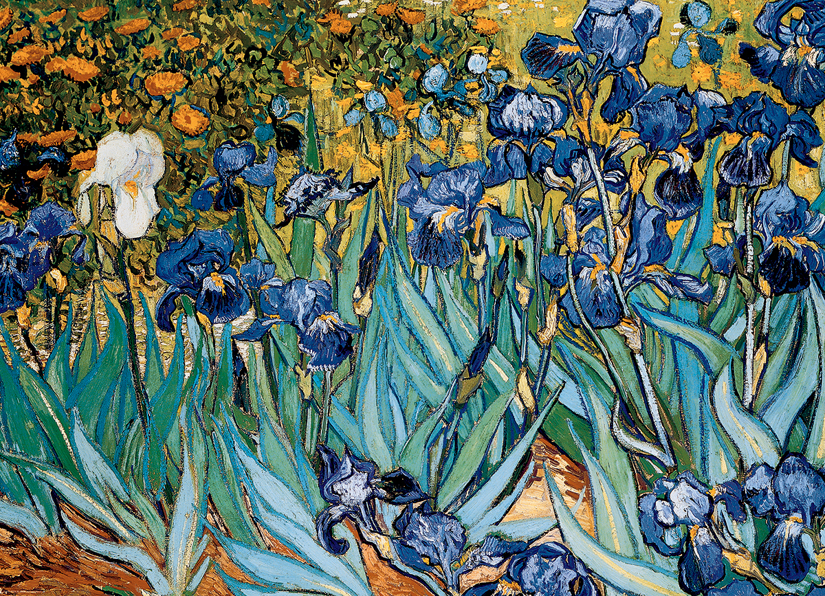 Bild: 628136643641 | Schwertlilien von Vincent van Gogh (Puzzle) | Vincent van Gogh | Spiel