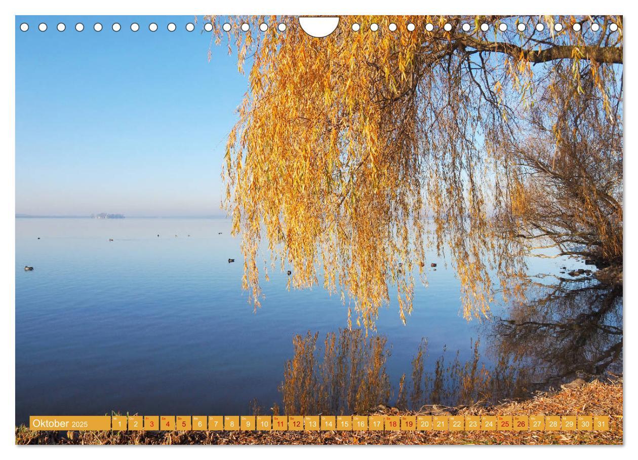 Bild: 9783435320011 | Traumhaftes Steinhuder Meer (Wandkalender 2025 DIN A4 quer),...