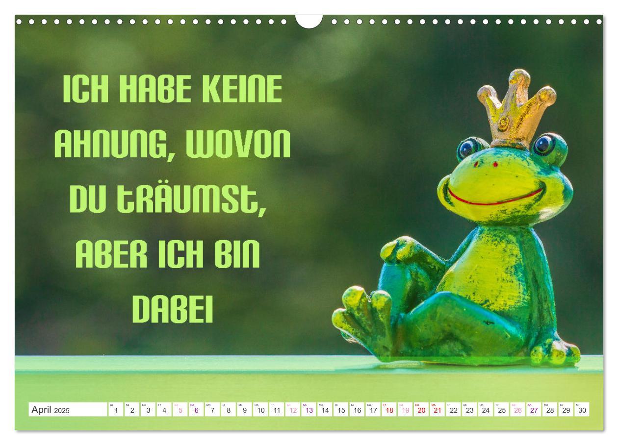 Bild: 9783435052257 | Heute schon Prinzen geküsst? Spruchkalender (Wandkalender 2025 DIN...