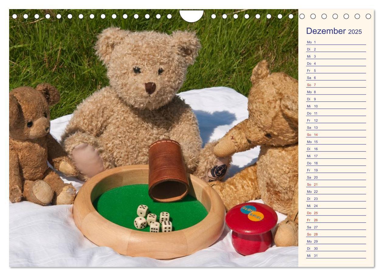 Bild: 9783435508235 | Geliebte Bären - Teddys (Wandkalender 2025 DIN A4 quer), CALVENDO...