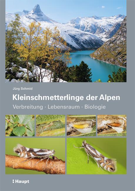 Cover: 9783258081328 | Kleinschmetterlinge der Alpen | Verbreitung, Lebensraum, Biologie