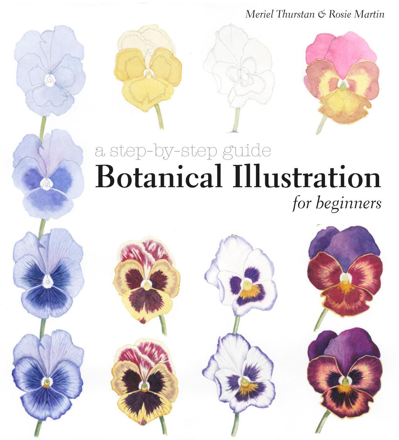 Cover: 9781849942713 | Botanical Illustration for Beginners | A Step-by-Step Guide | Buch