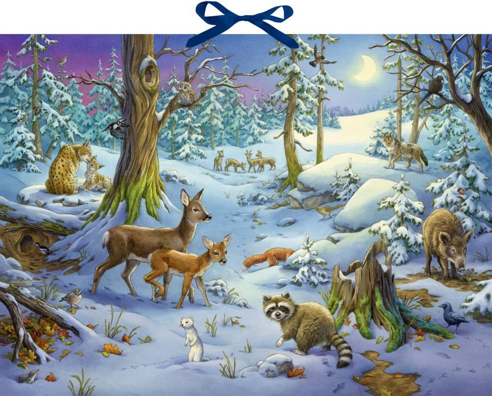 Cover: 4050003722573 | Sound-Adventskalender - Hört ihr die Tiere im Winterwald? | Kalender