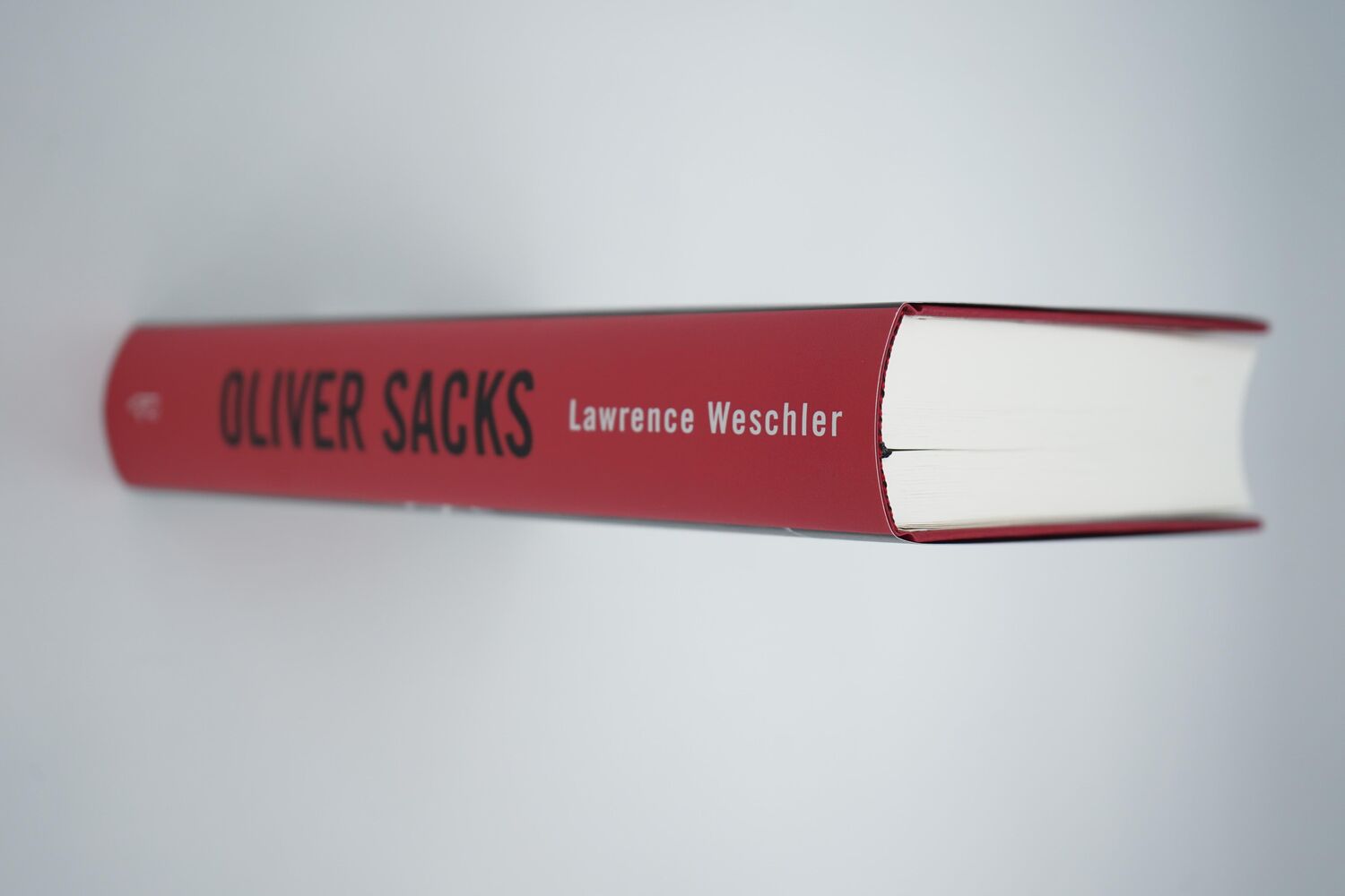 Bild: 9783498072643 | Oliver Sacks | Ein persönliches Porträt | Lawrence Weschler | Buch