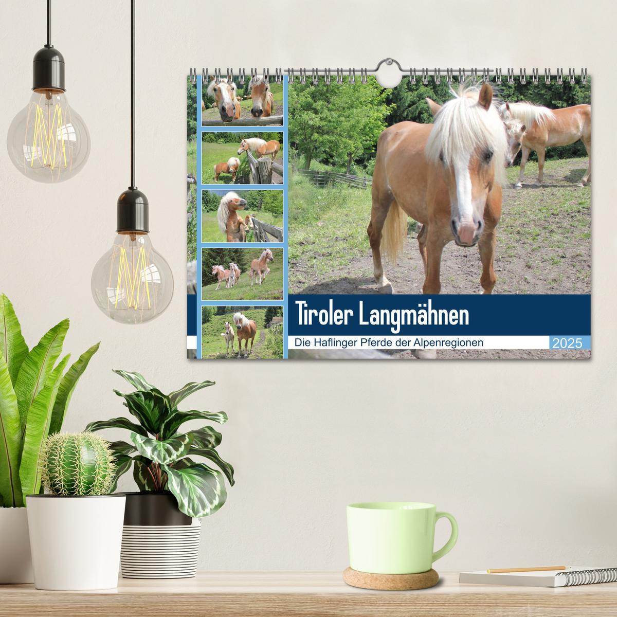 Bild: 9783435422173 | Tiroler Langmähnen (Wandkalender 2025 DIN A4 quer), CALVENDO...