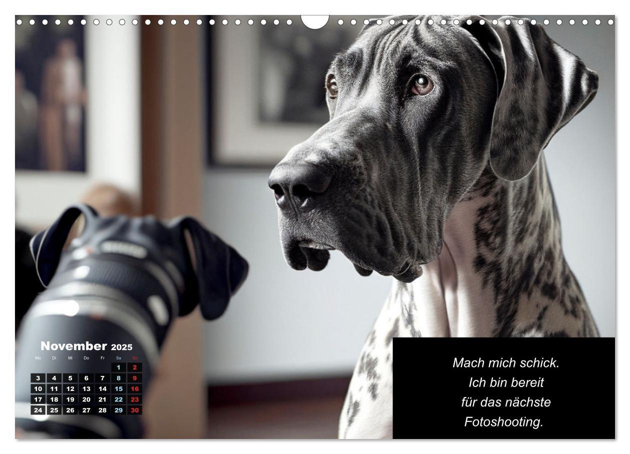 Bild: 9783435722631 | Der humoristische Dogge Kalender (Wandkalender 2025 DIN A3 quer),...