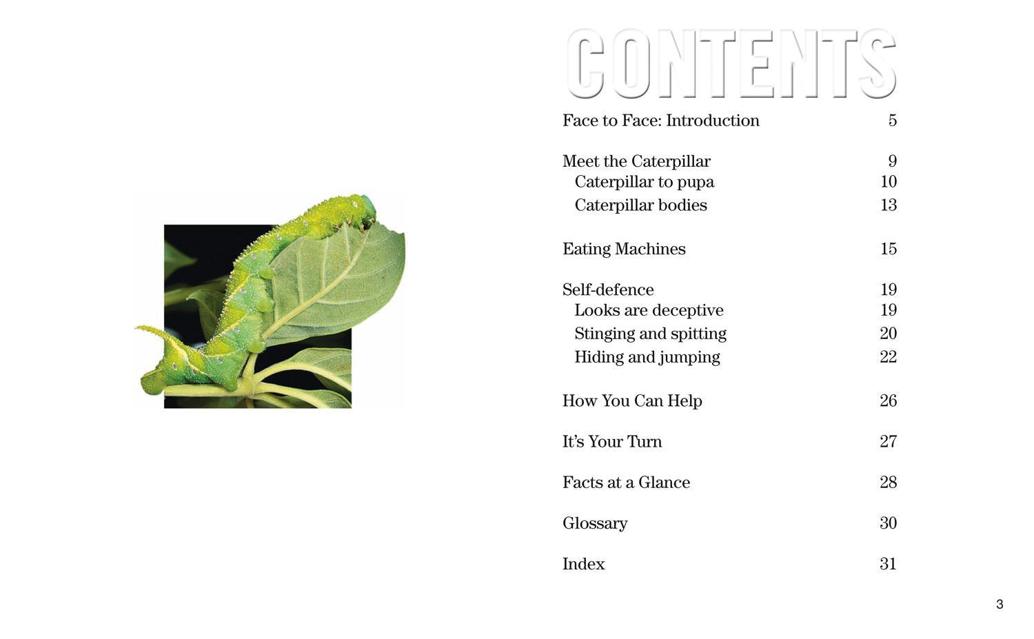 Bild: 9780008358129 | Face to Face with Caterpillars | Level 6 | Darlyne A. Murawski | Buch