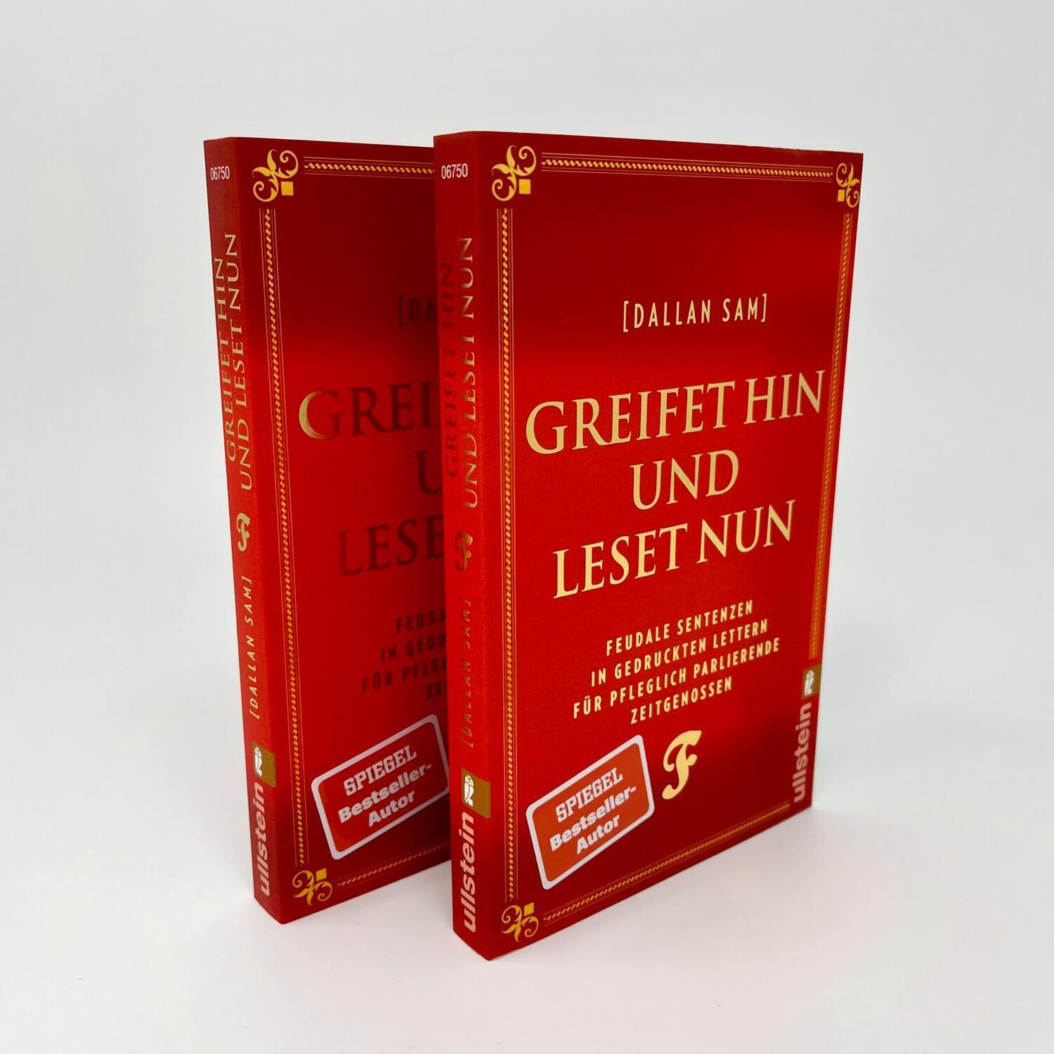 Bild: 9783548067506 | Greifet hin und leset nun | Dallan Sam | Taschenbuch | 208 S. | 2023