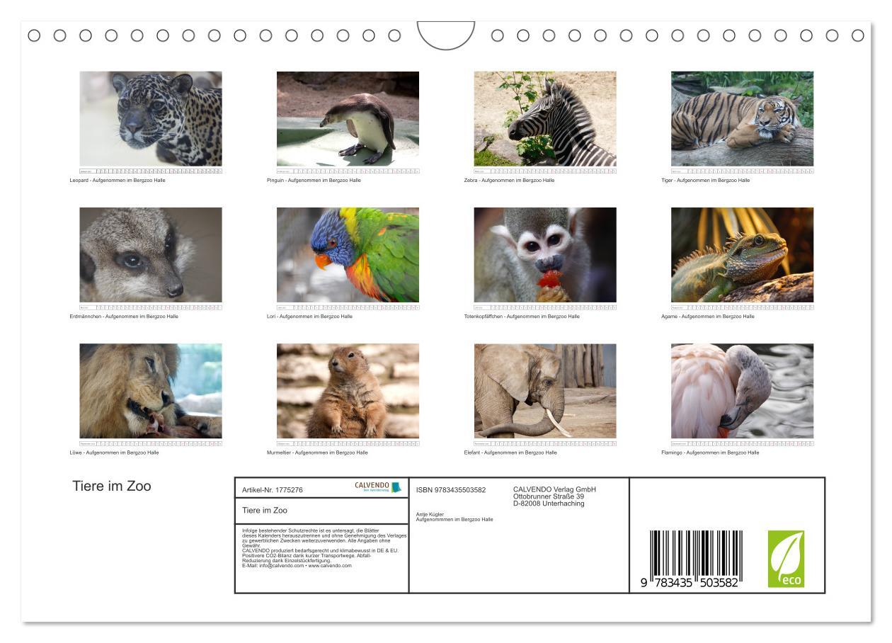 Bild: 9783435503582 | Tiere im Zoo (Wandkalender 2025 DIN A4 quer), CALVENDO Monatskalender