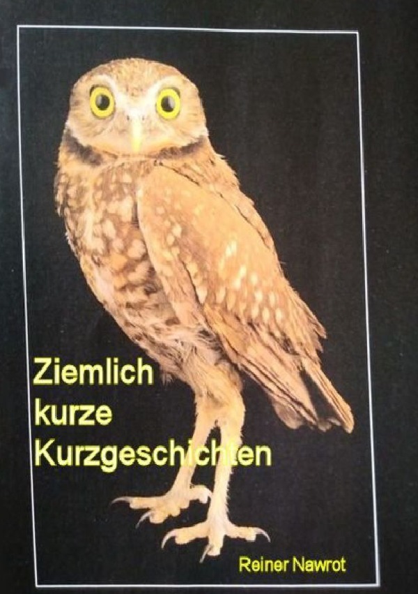 Cover: 9783758476440 | Ziemlich kurze Kurzgeschichten | Skurrile Storys. DE | reiner nawrot