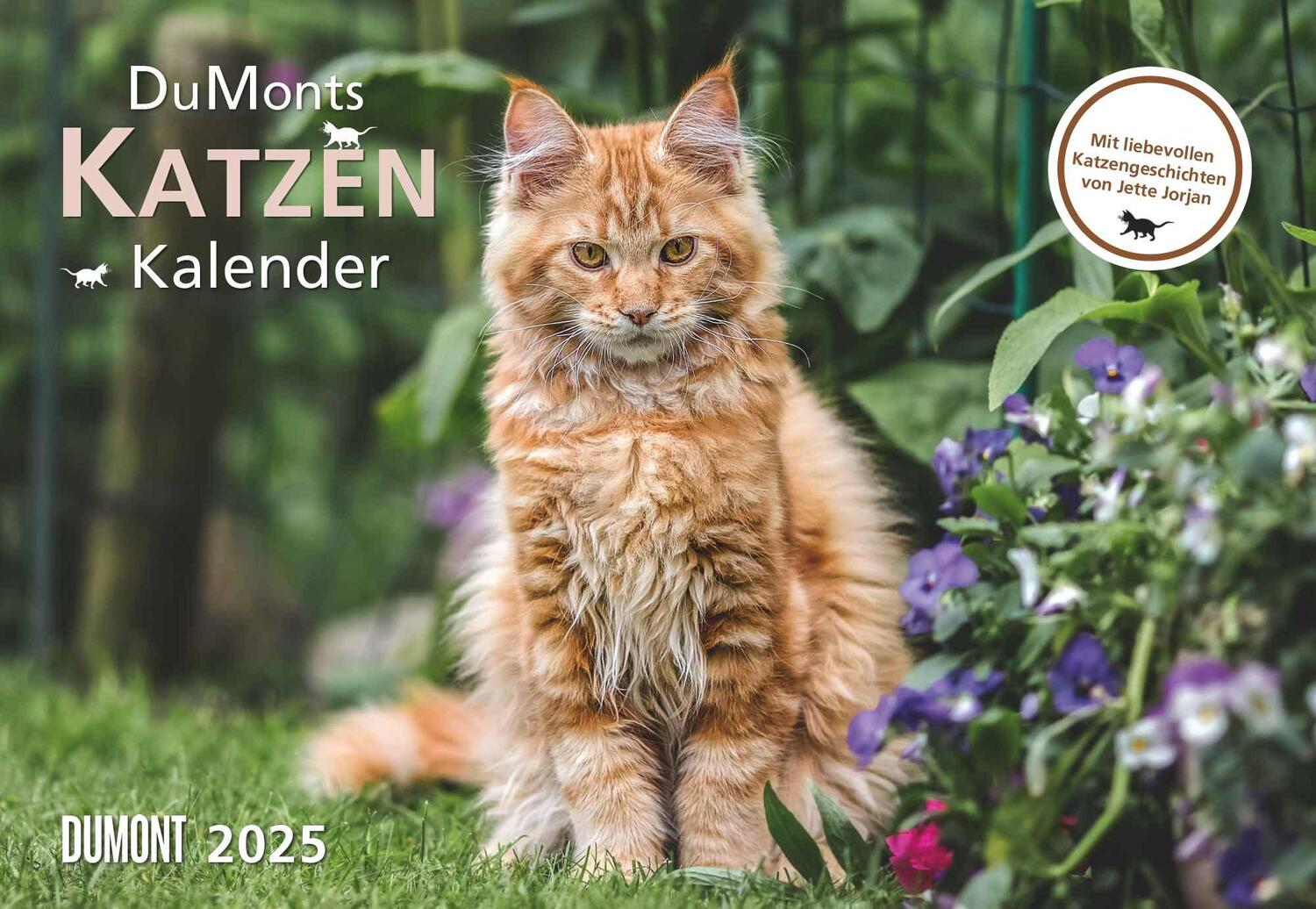 Cover: 4250809652412 | DUMONTS Katzenkalender 2025 - Broschürenkalender - Wandkalender -...