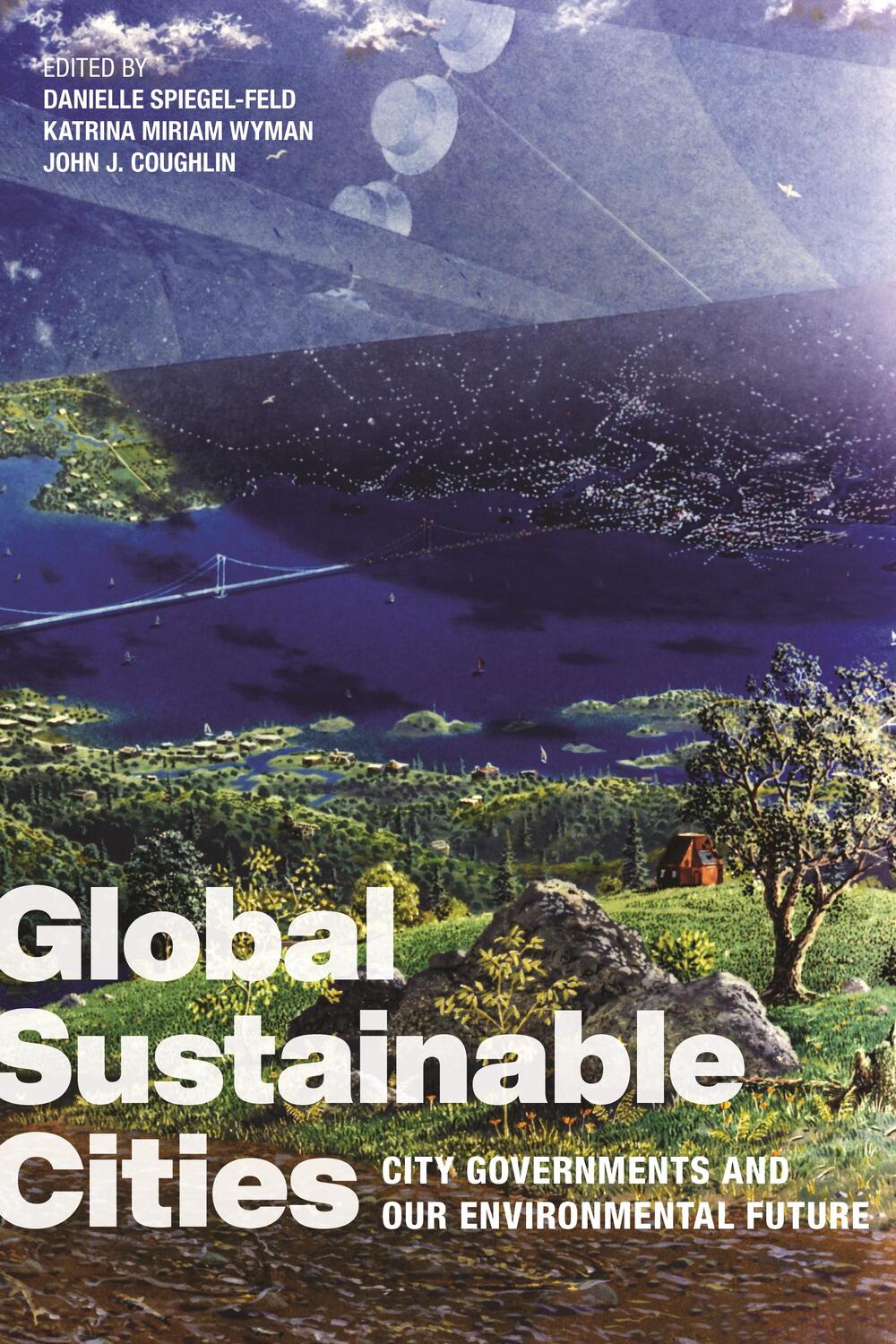 Cover: 9781479805754 | Global Sustainable Cities | Taschenbuch | Kartoniert / Broschiert