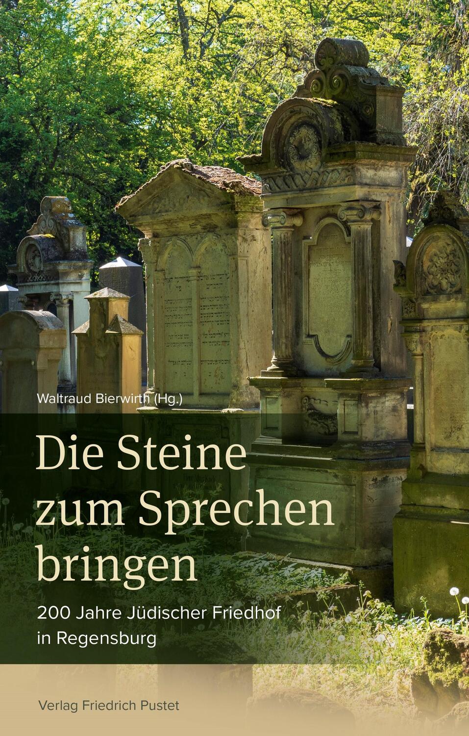 Cover: 9783791733470 | Die Steine zum Sprechen bringen | Waltraud Bierwirth | Buch | 280 S.