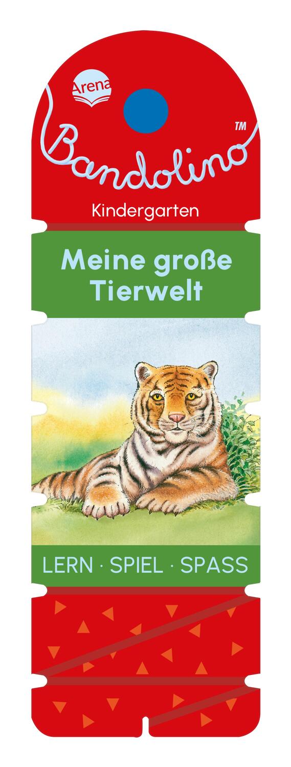 Cover: 9783401719535 | Bandolino. Meine große Tierwelt | Friederike Barnhusen | Taschenbuch