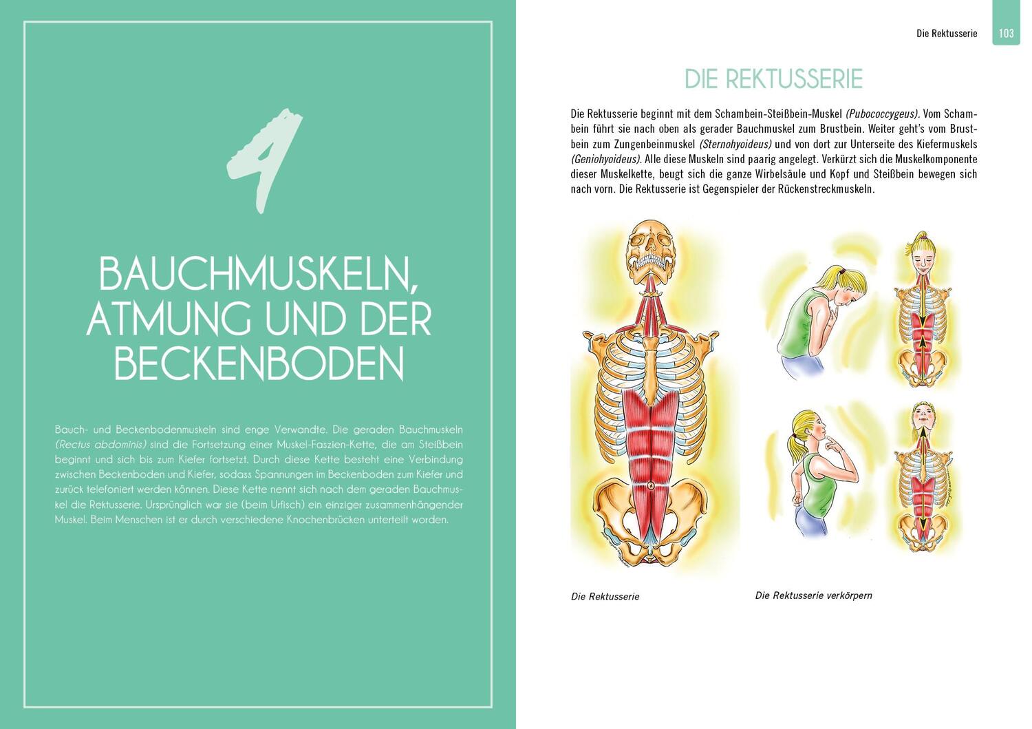 Bild: 9783742324580 | Beckenbodenpower | Eric N. Franklin | Taschenbuch | 160 S. | Deutsch