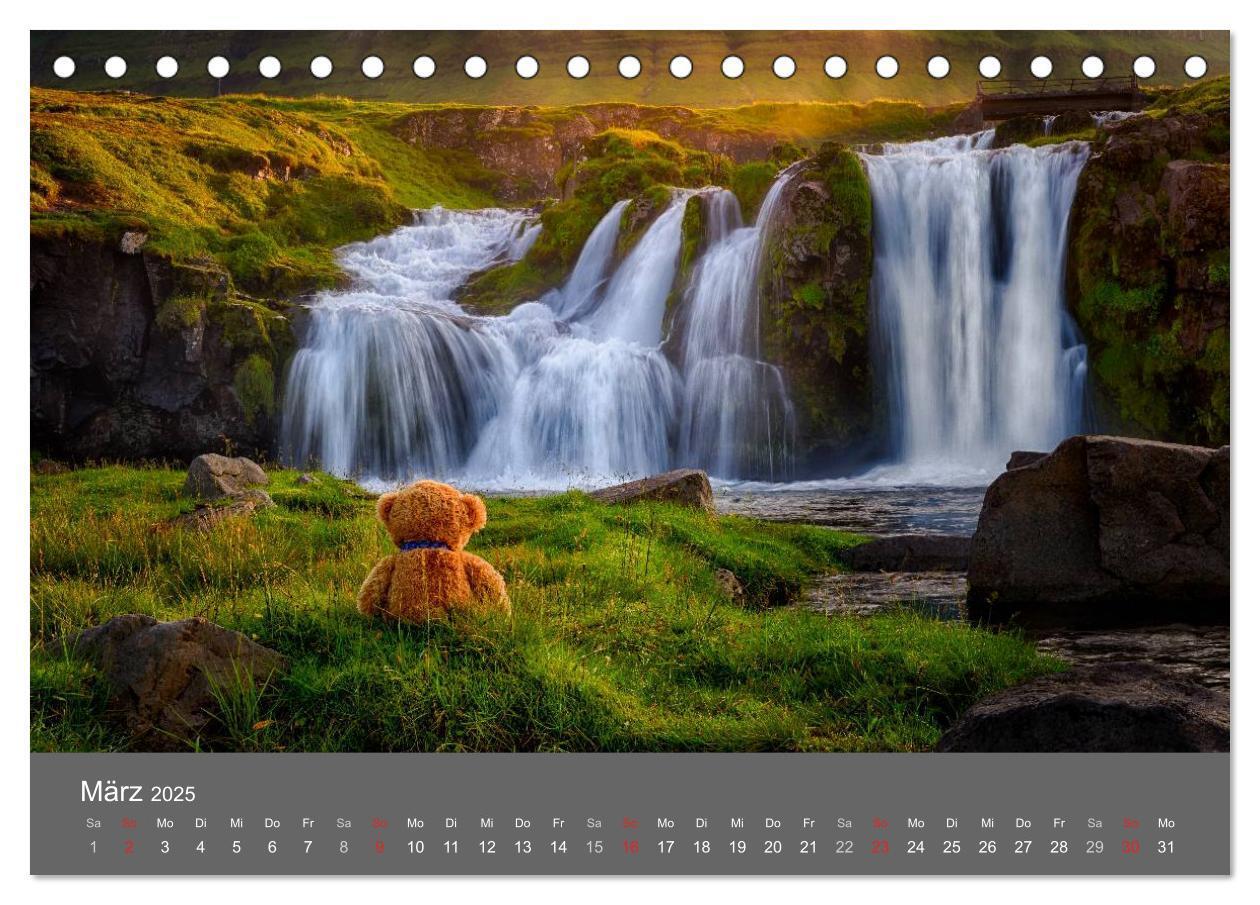 Bild: 9783435502172 | Travelling Teddy 2025 (Tischkalender 2025 DIN A5 quer), CALVENDO...