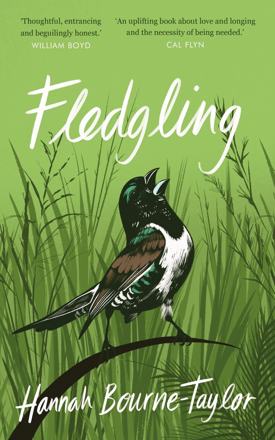 Cover: 9780711266674 | Fledgling | Hannah Bourne-Taylor | Buch | Gebunden | Englisch | 2022