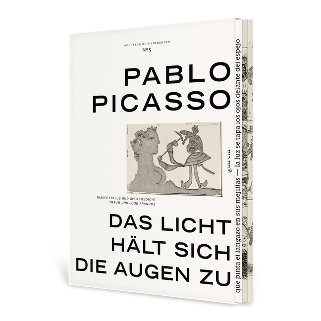 Bild: 9783864061035 | Das Licht hält sich die Augen zu | Cosima Schneider | Buch | 4 S.