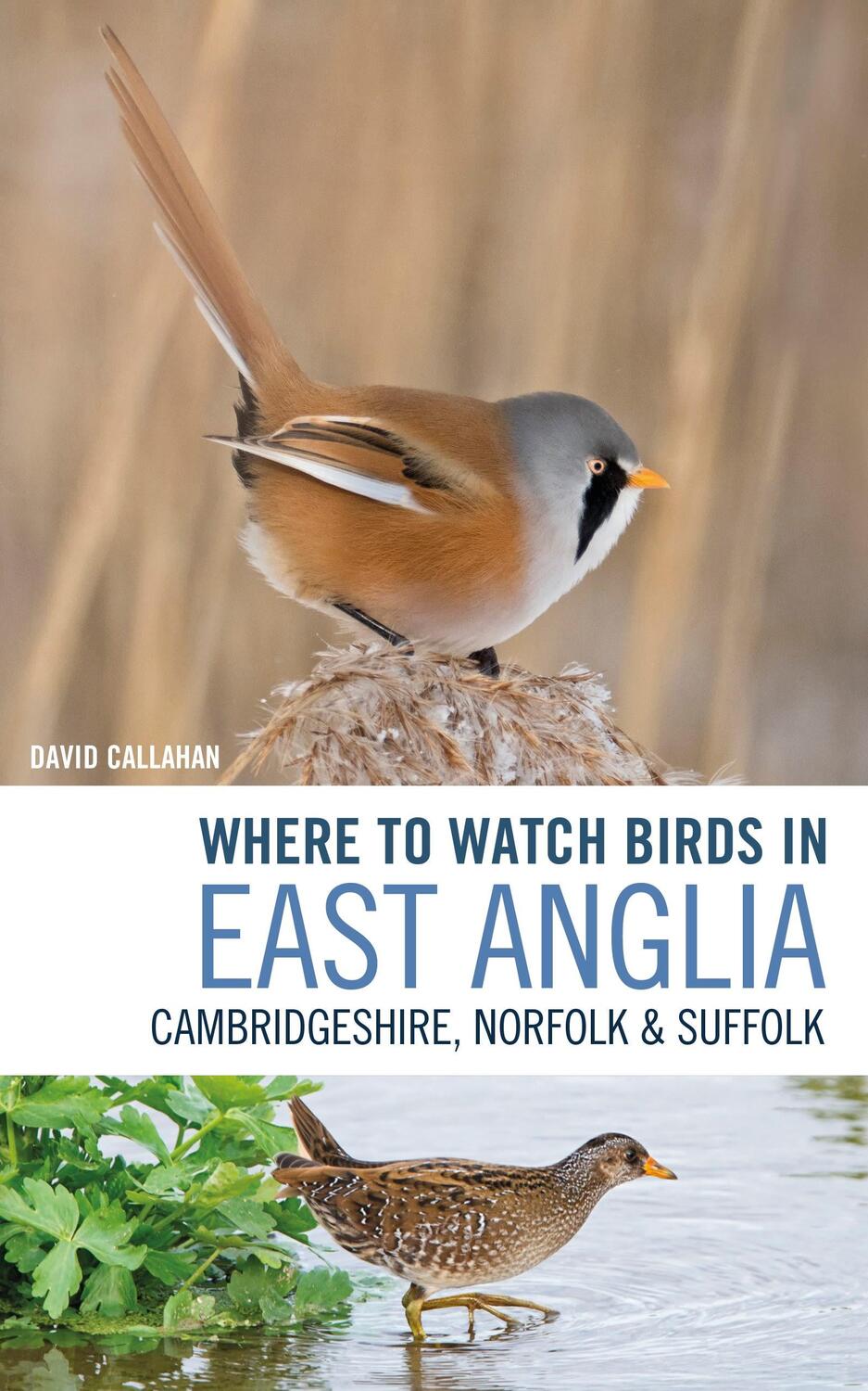 Cover: 9781472962225 | Where to Watch Birds in East Anglia | David Callahan | Taschenbuch