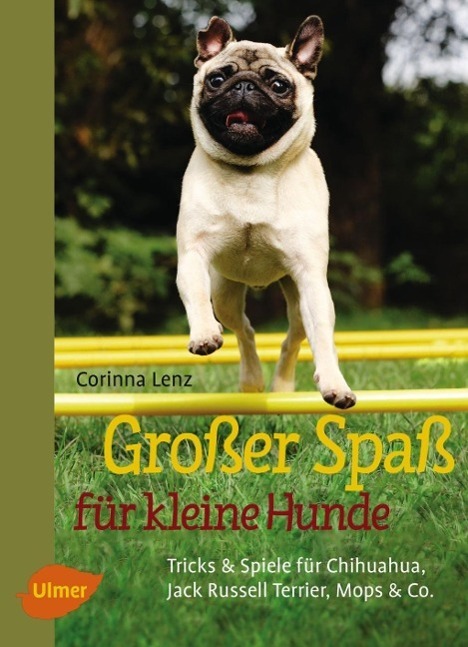 Cover: 9783800112623 | Großer Spaß für kleine Hunde | Corinna Lenz | Buch | Deutsch | 2015