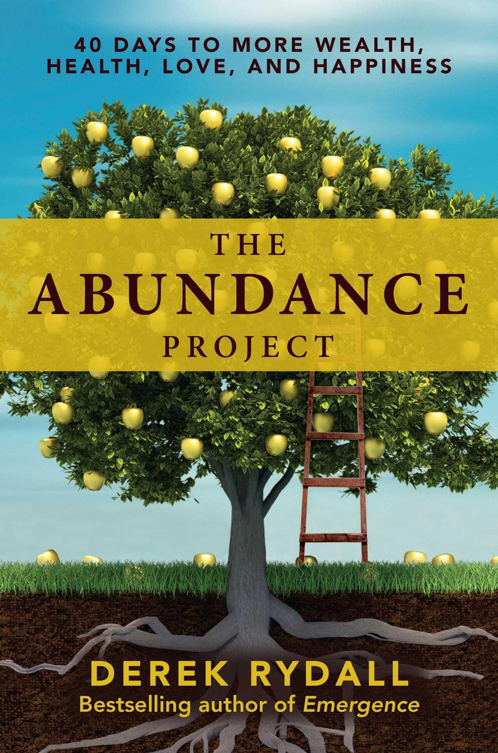 Cover: 9781582706535 | The Abundance Project: 40 Days to More Wealth, Health, Love, and...