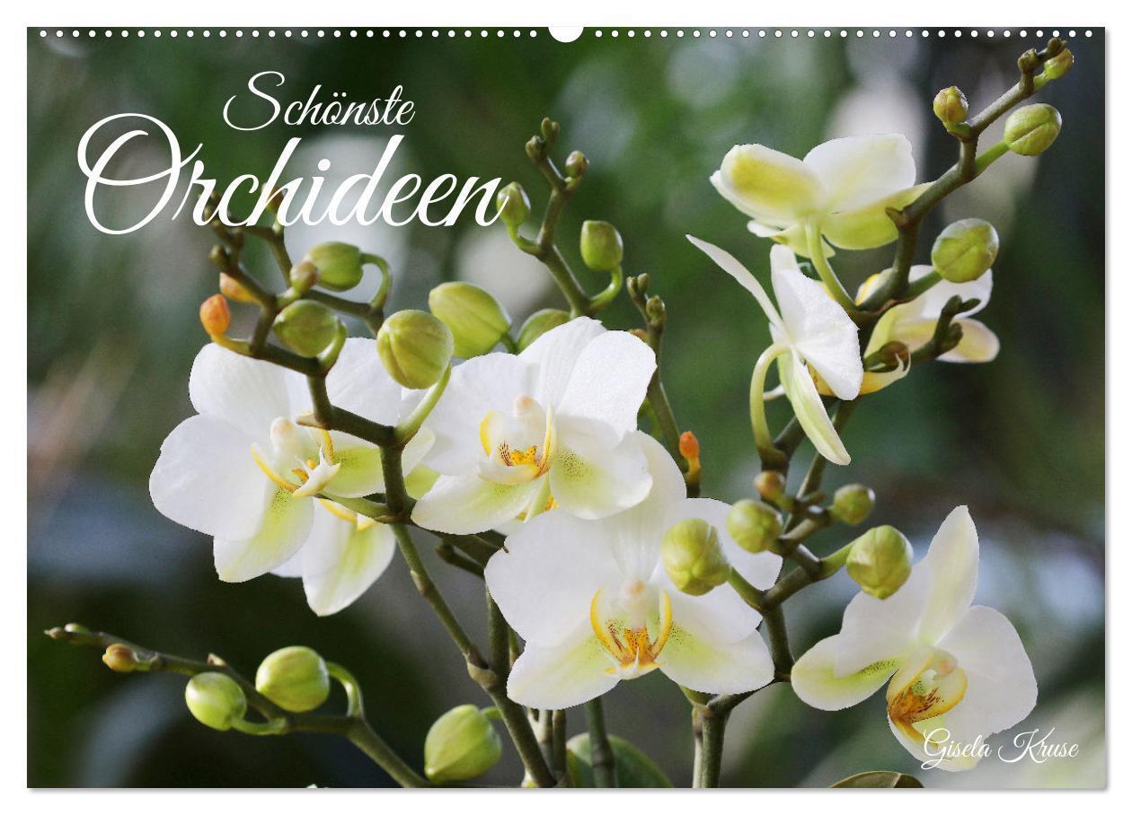 Cover: 9783675425293 | Schönste Orchideen (Wandkalender 2024 DIN A2 quer), CALVENDO...