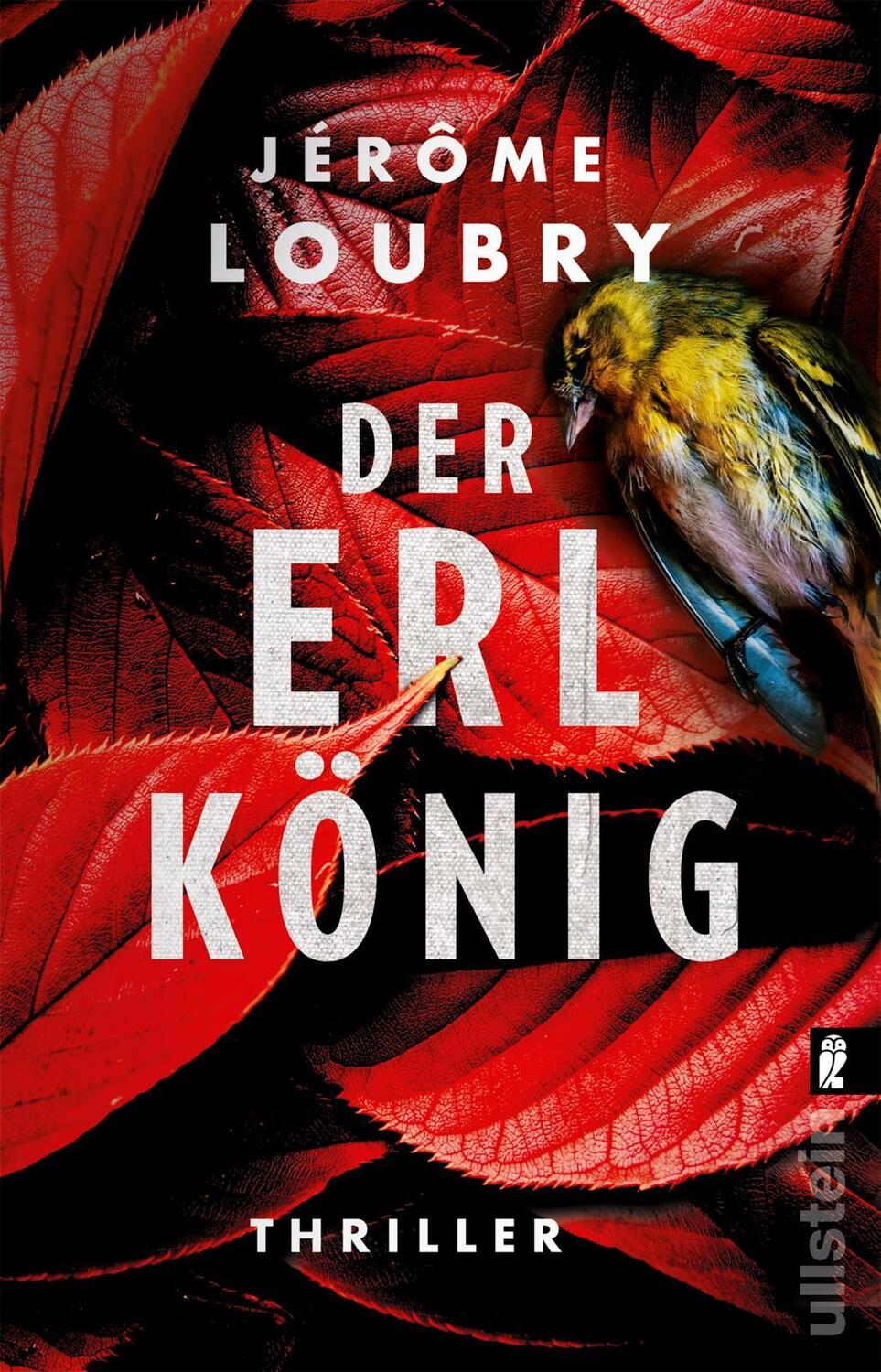 Cover: 9783548063751 | Der Erlkönig | Thriller Ein beklemmender Thriller mit Gruselfaktor