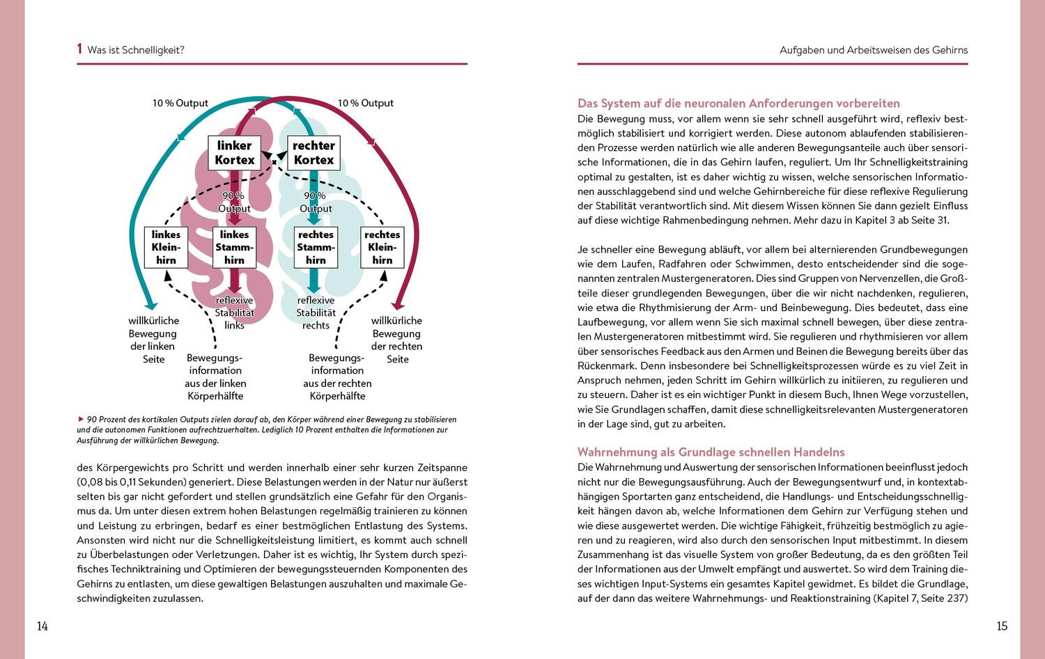 Bild: 9783742318442 | Schnelligkeit beginnt im Gehirn | Lars Lienhard | Taschenbuch | 288 S.