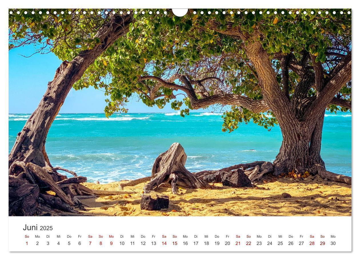 Bild: 9783383940040 | Hawaii - Ein tropisches Paradies. (Wandkalender 2025 DIN A3 quer),...