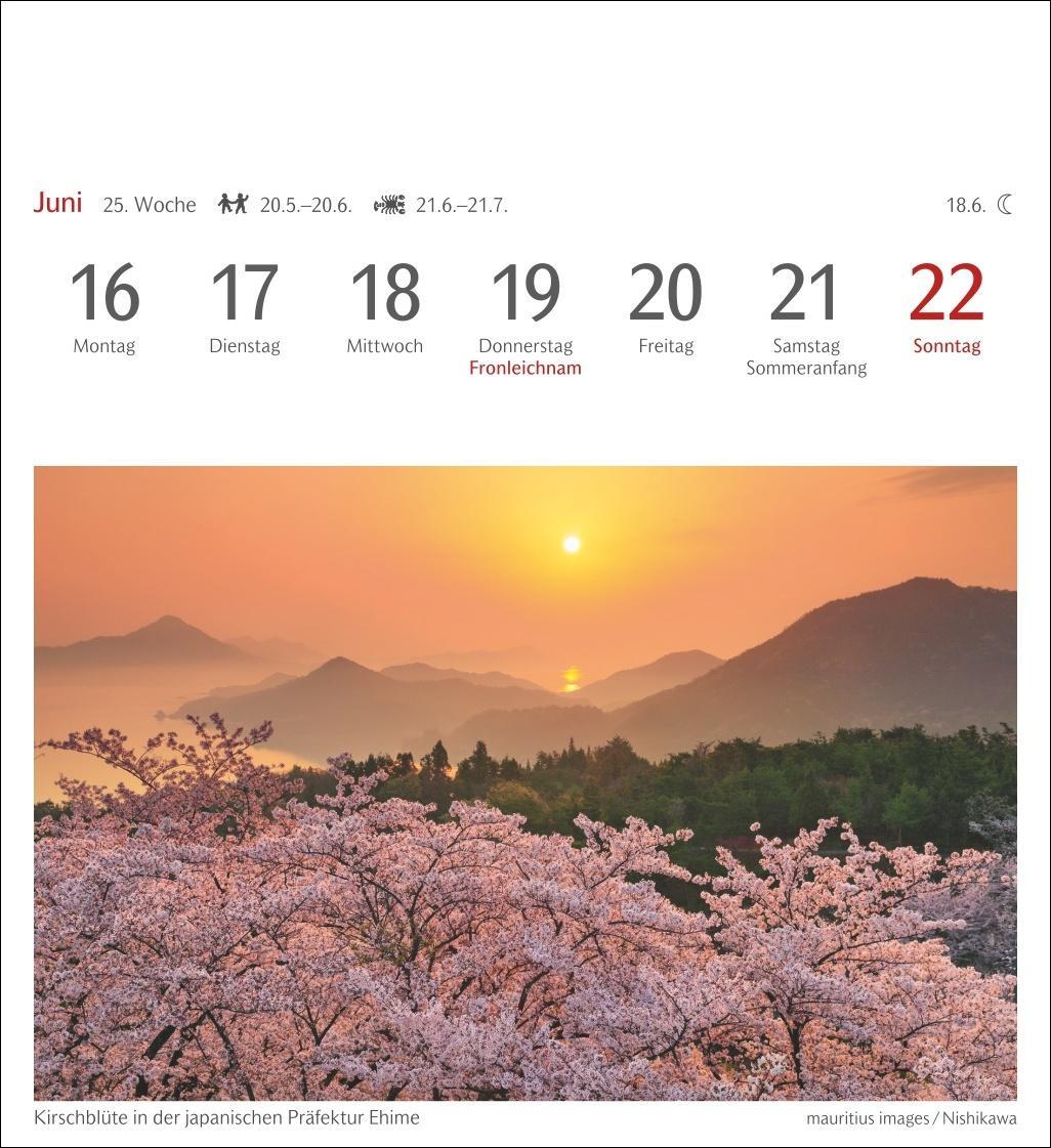 Bild: 9783840034268 | Farben der Natur Postkartenkalender 2025 - Wochenkalender mit 53...
