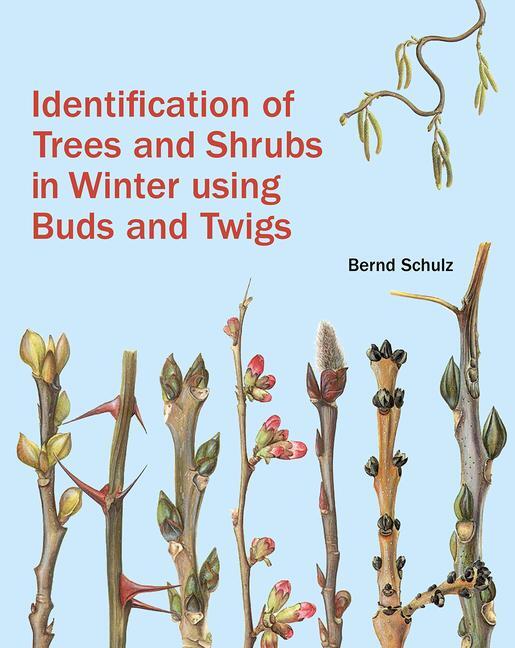 Cover: 9781842466506 | Identification of Trees and Shrubs in Winter Using Buds and Twigs
