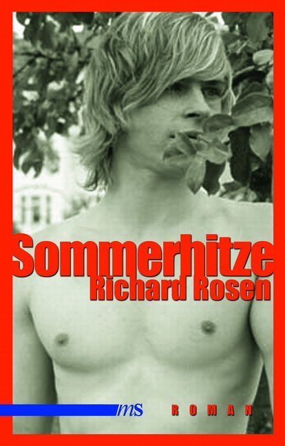 Cover: 9783863001797 | Sommerhitze | Roman | Richard Rosen | Taschenbuch | 144 S. | Deutsch