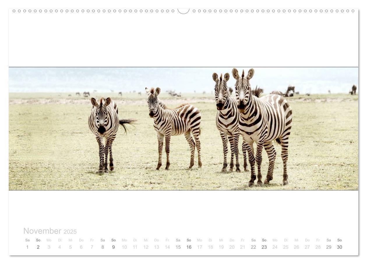 Bild: 9783435685547 | Serengeti Panorama (hochwertiger Premium Wandkalender 2025 DIN A2...