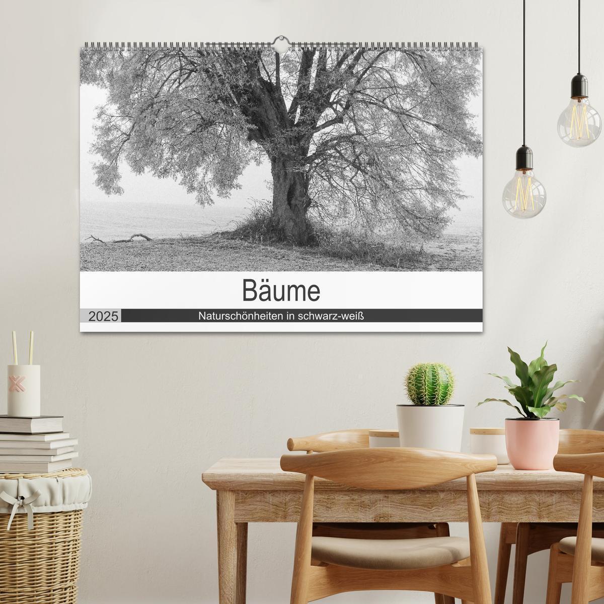 Bild: 9783435659999 | Bäume - Naturschönheiten in schwarz-weiß (Wandkalender 2025 DIN A2...