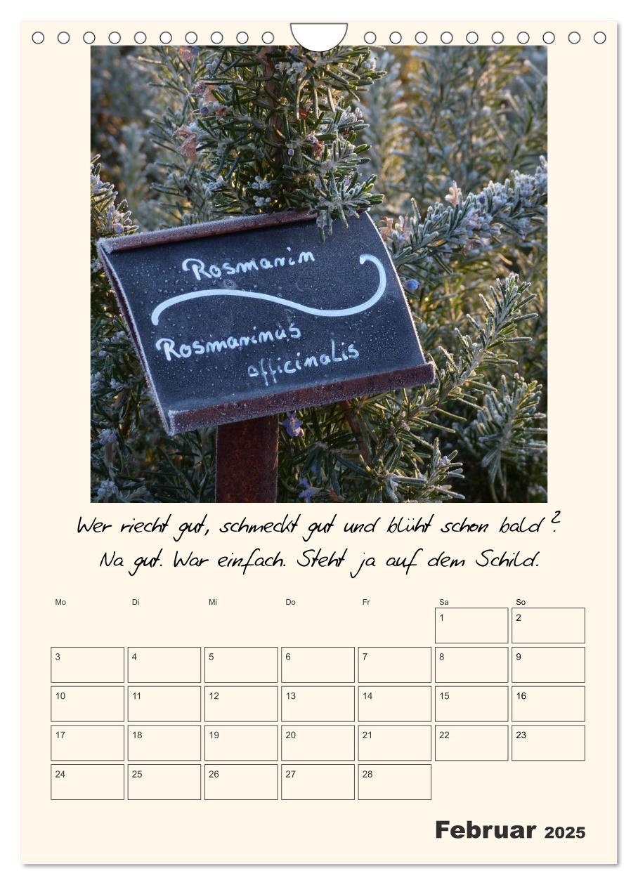 Bild: 9783435999583 | Gartengeschichten (Wandkalender 2025 DIN A4 hoch), CALVENDO...