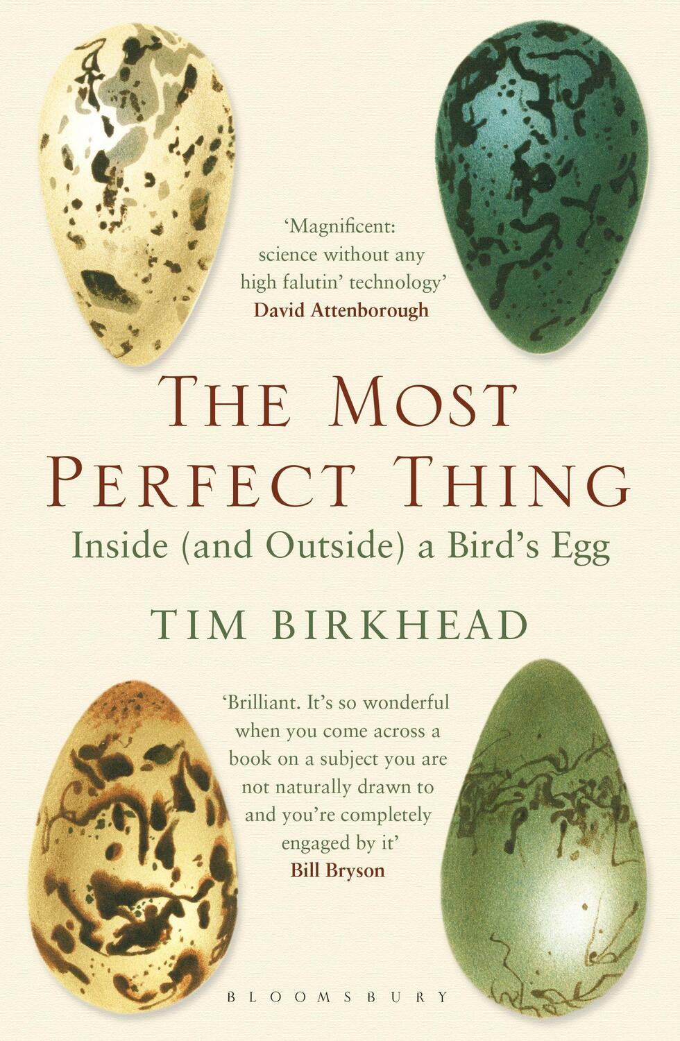 Cover: 9781408851272 | The Most Perfect Thing | Inside (and Outside) a Bird's Egg | Birkhead