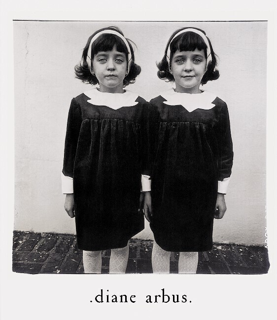 Cover: 9783829600392 | Die Monographie | Neuauflage | Diane Arbus | Taschenbuch | 184 S.