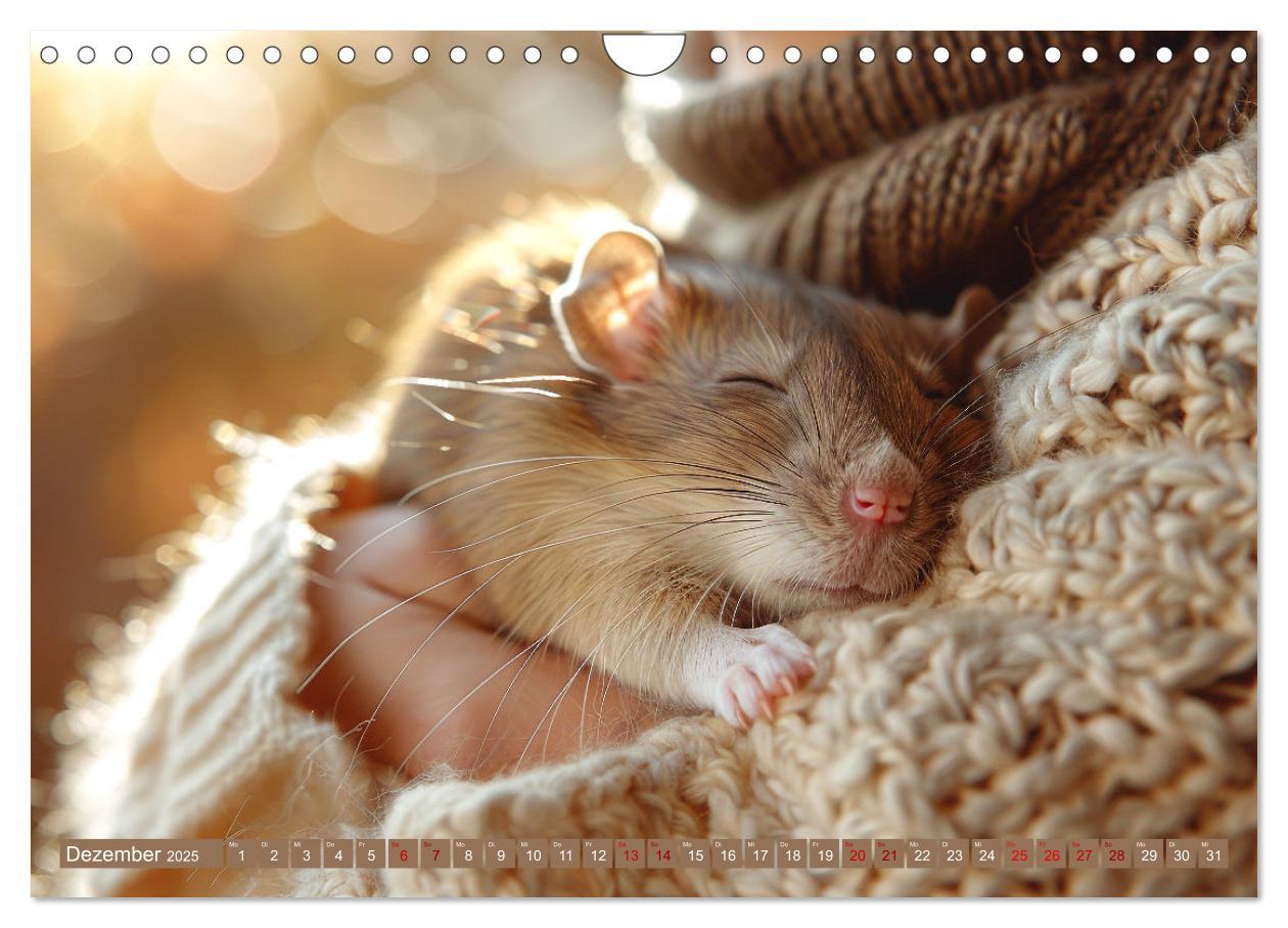 Bild: 9783383813832 | Mein bester Kumpel ist eine Ratte (Wandkalender 2025 DIN A4 quer),...