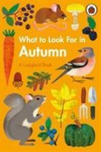 Cover: 9780241416167 | What to Look For in Autumn | A Ladybird Book | Elizabeth Jenner | Buch