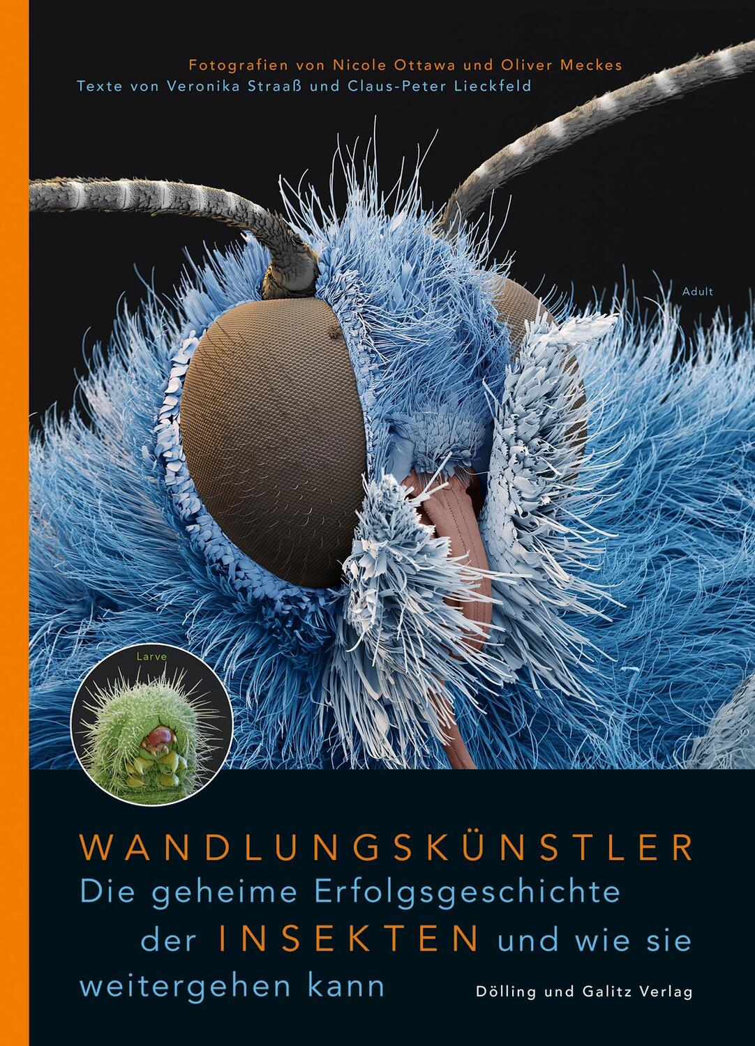 Cover: 9783862181490 | Wandlungskünstler. Die geheime Erfolgsgeschichte der Insekten und...