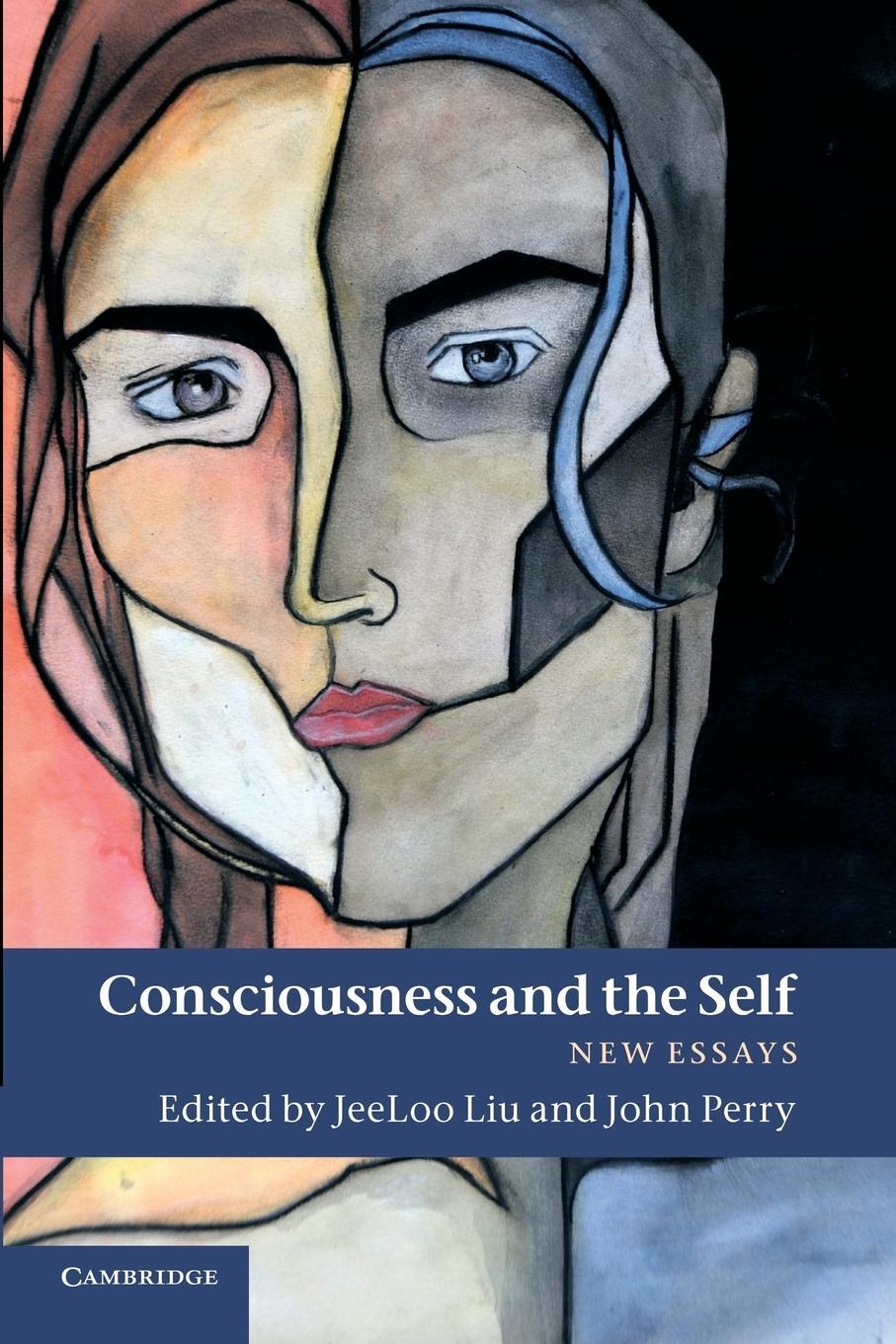 Cover: 9781107414716 | Consciousness and the Self | New Essays | John Perry | Taschenbuch