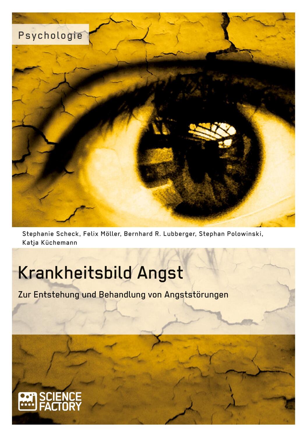 Cover: 9783956870132 | Krankheitsbild Angst. Zur Entstehung und Behandlung von Angststörungen