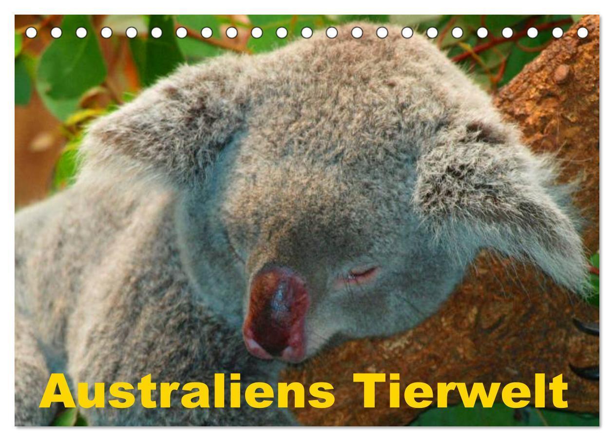 Cover: 9783383521133 | Australiens Tierwelt (Tischkalender 2024 DIN A5 quer), CALVENDO...